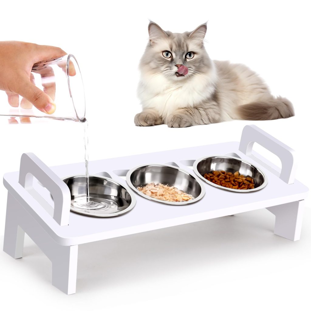 Elevated Cat Food Bowl Set