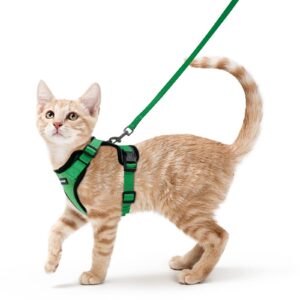 rabbitgoo Cat Harness and Leash