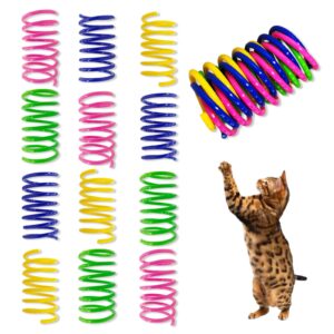AGYM Cat Spring Toys