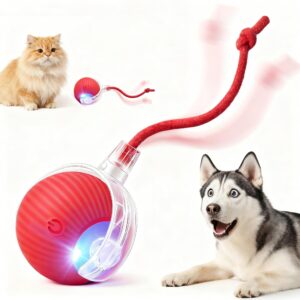 Liedrg Interactive Rolling Cat Ball