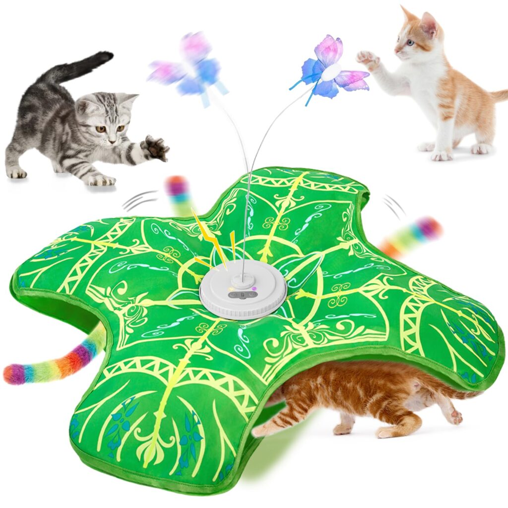 Qraxond Interactive Cat Toys