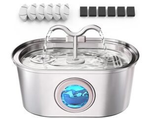 Cat Water Fountain