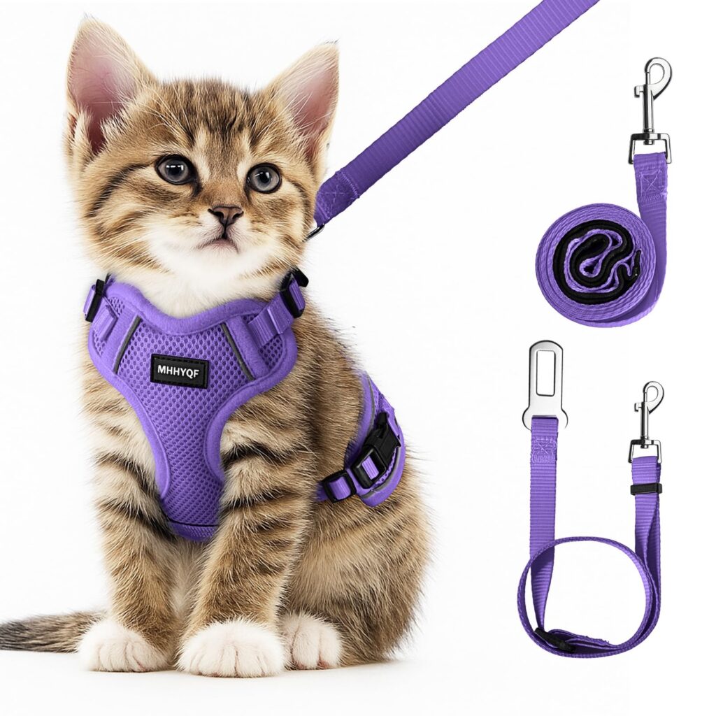 Cat Harness and Leash Set