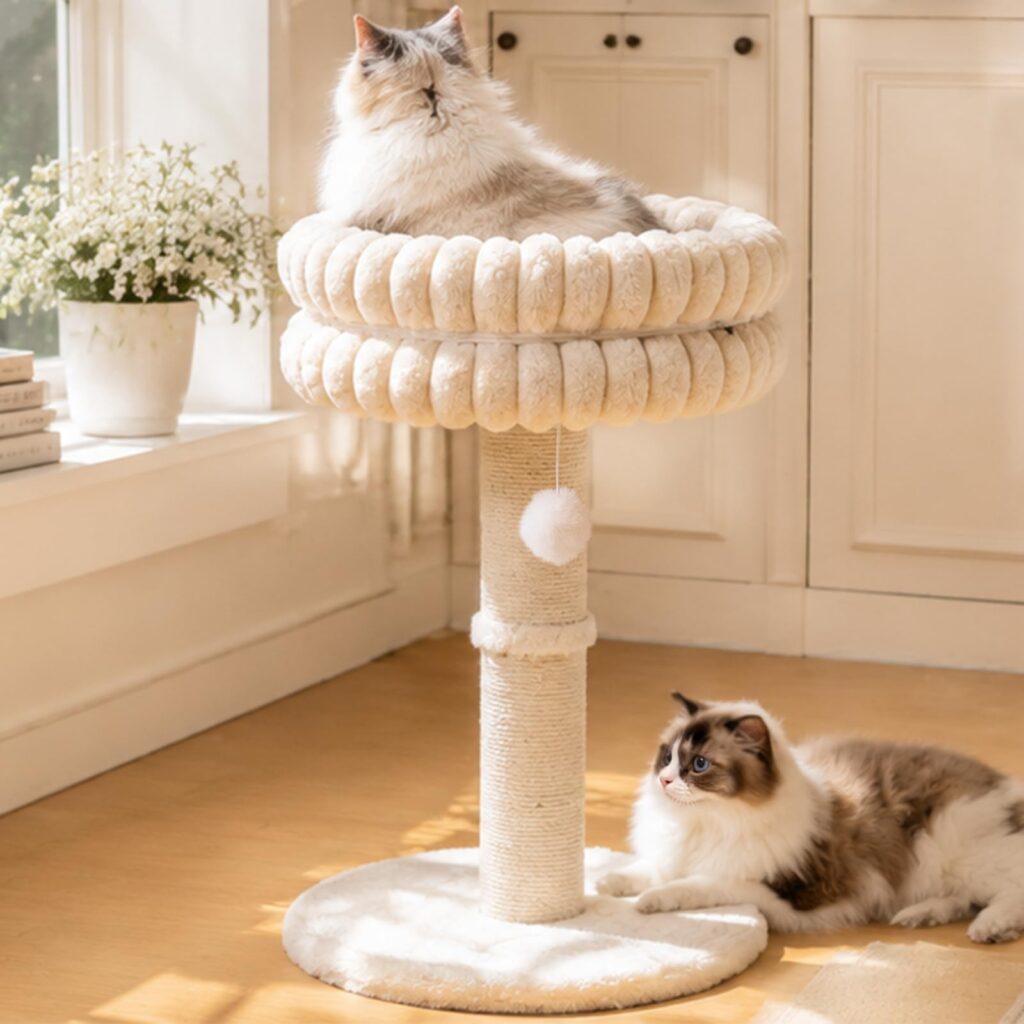 CHEERPALS Cat Scratching Post with Bed for Indoor Cats Cloud Cat Tree