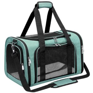LEHNI Soft-Sided Pet Carrier