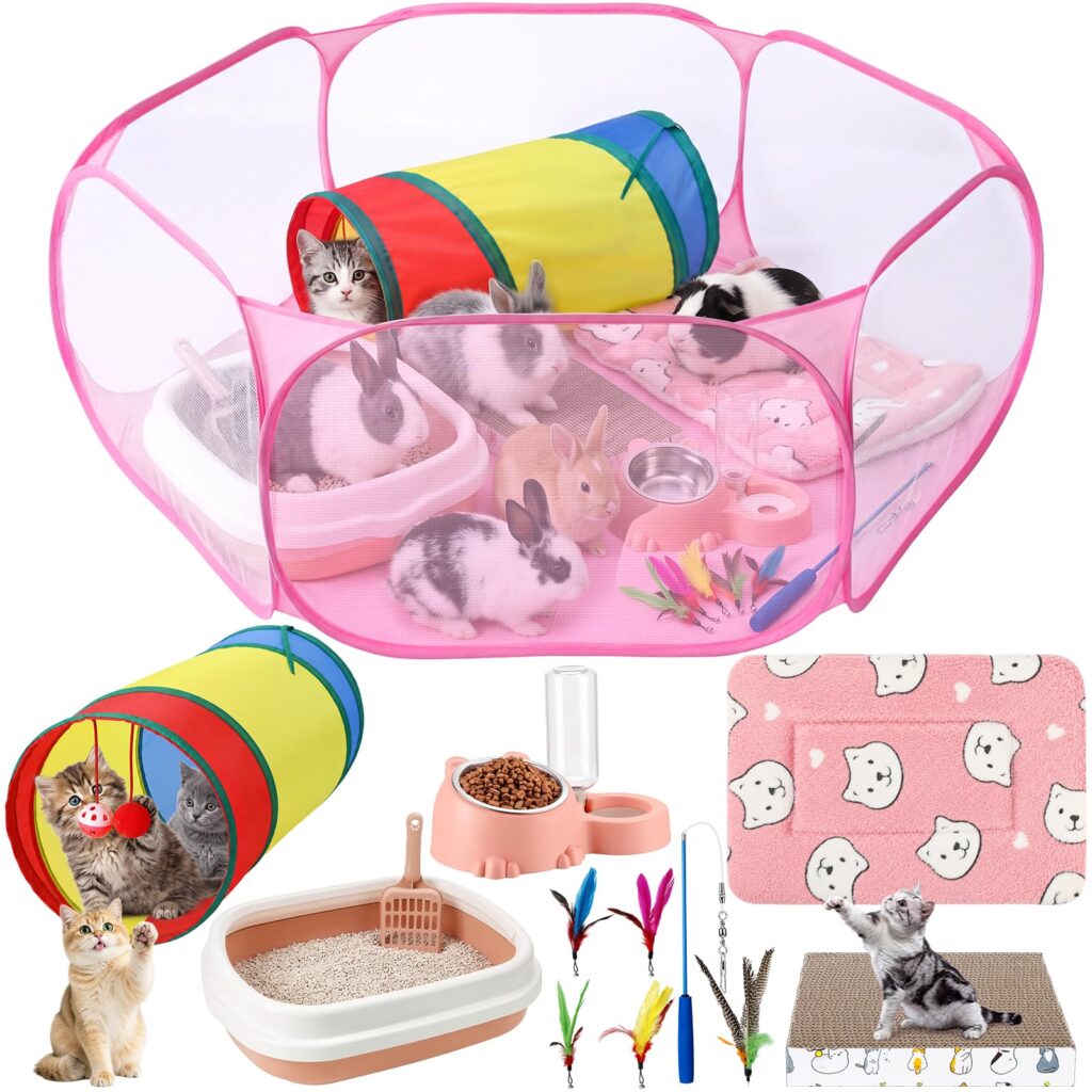OBreezify Kitten Starter Kit