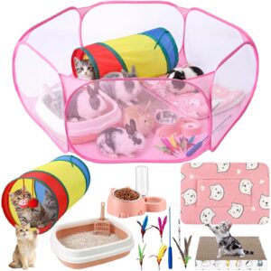 OBreezify Kitten Starter Kit